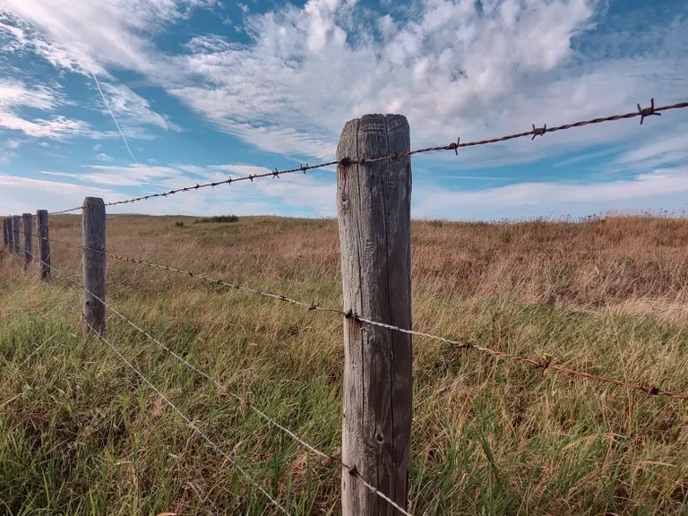 Wire fence on wooden posts running through tall grass along a property boundary