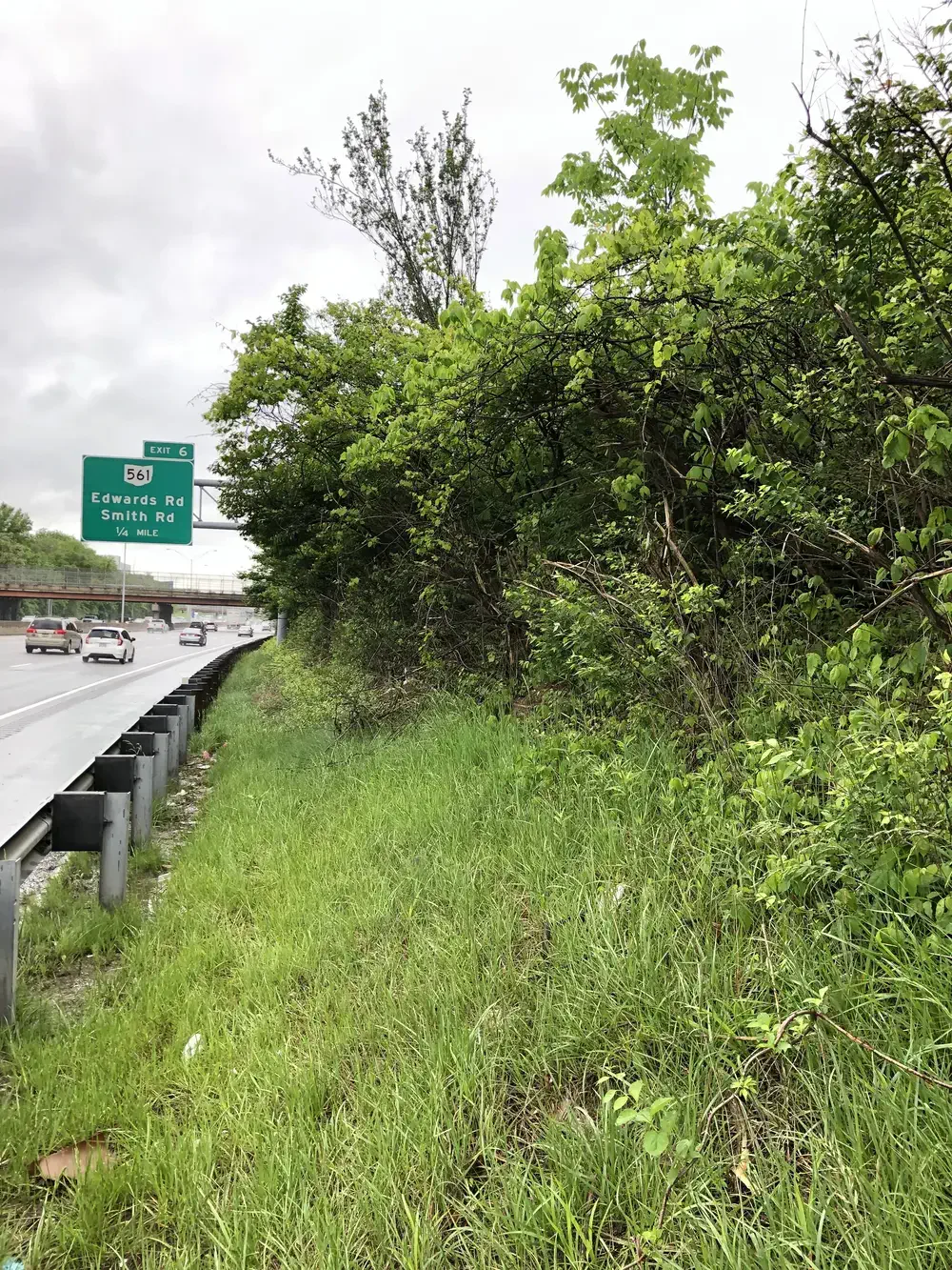 Overgrown I-71 right-of-way in Norwood, OH before commercial brush clearing