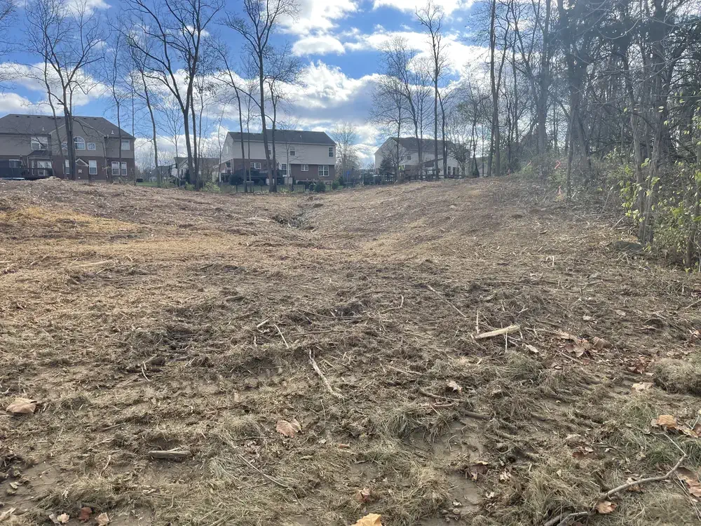 Cleared and mulched lot in Maineville, OH opened up to bare, usable ground