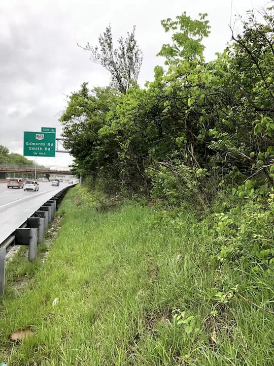 Overgrown I-71 right-of-way in Norwood, OH before commercial brush clearing