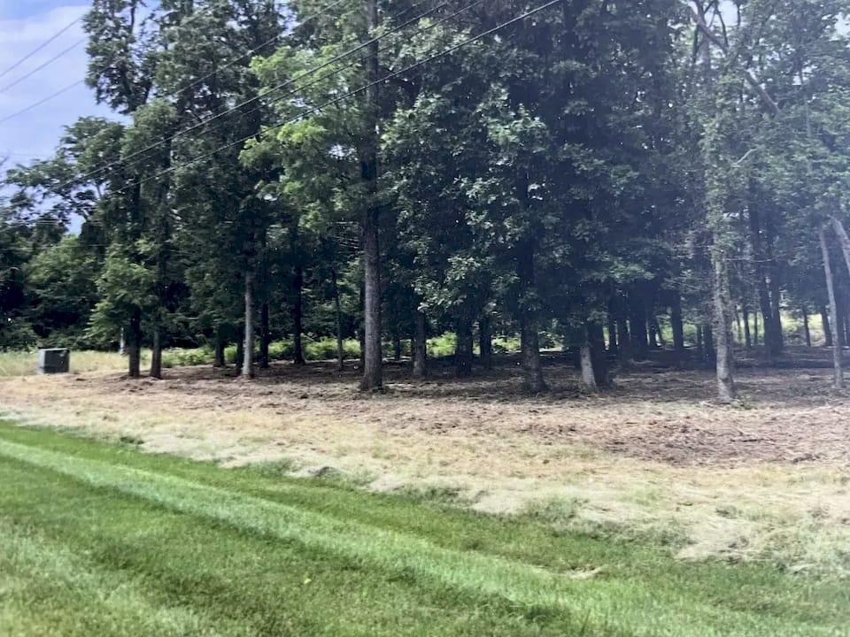 Forestry Mulching in Lebanon, OH, cleared property after