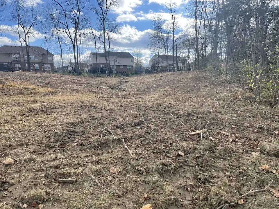 Cleared and mulched lot in Maineville, OH opened up to bare, usable ground