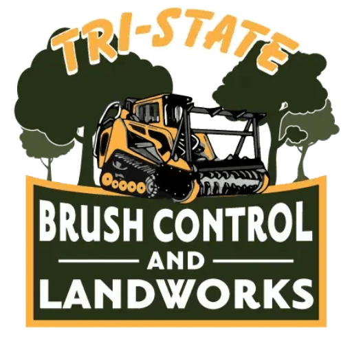 Forestry Mulching & Land Clearing Cincinnati | Tri-State
